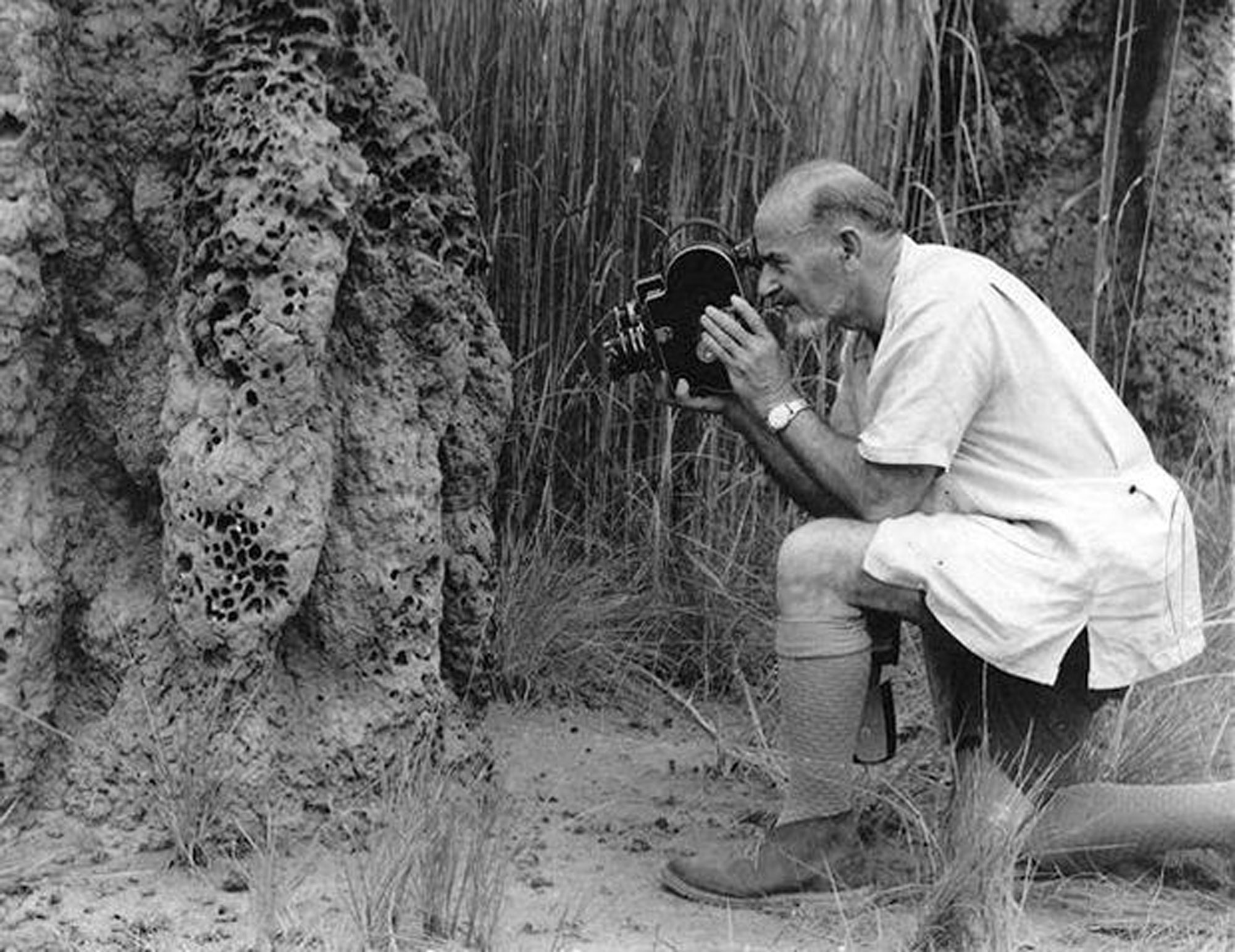 Tibor Sekelj (1912.-1988.)